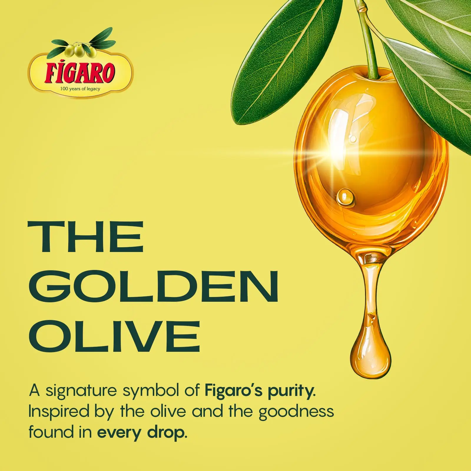 Figaro Multipurpose Pure Olive Oil – 200 ml - Image 4