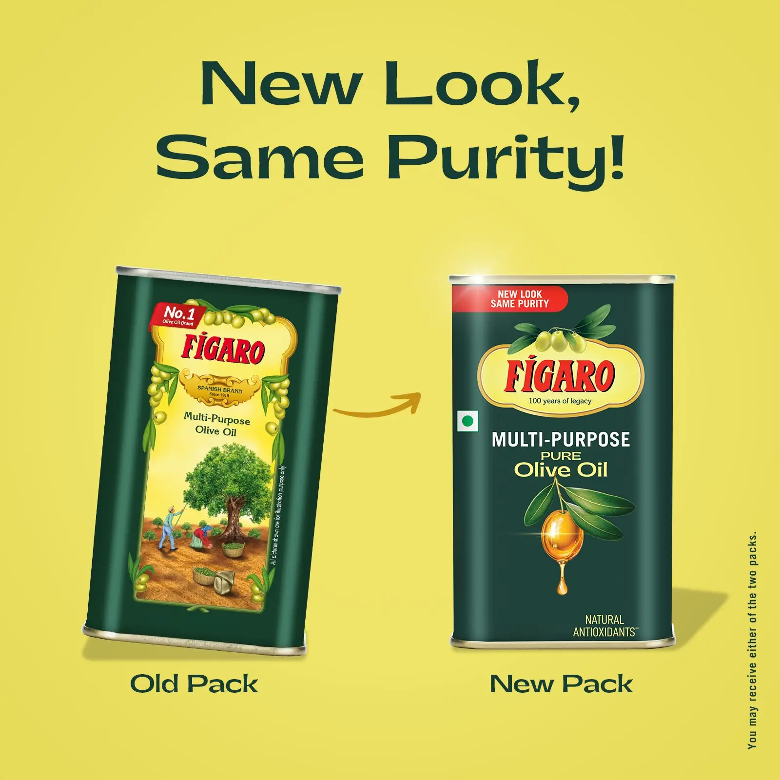 Figaro Multipurpose Pure Olive Oil – 500 ml - Image 7