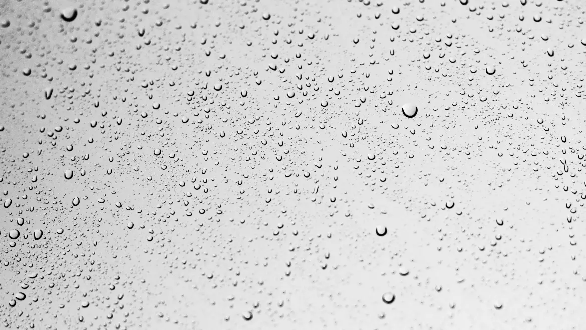 Olive Oil Beauty Benefits for Humid Weather
